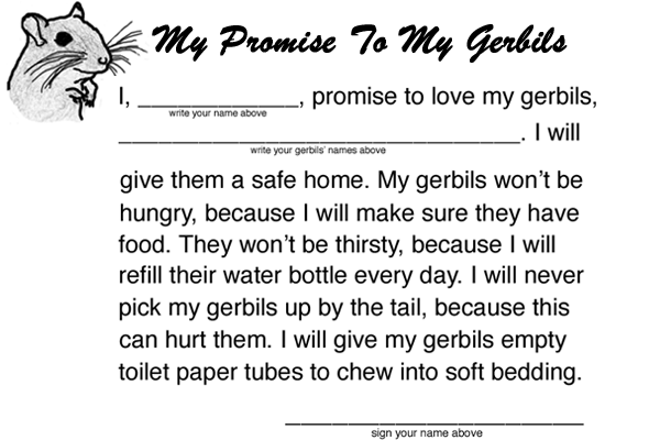 I promise to love my gerbils. I will give them a safe home. . .